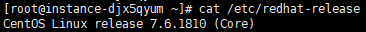 System_Version